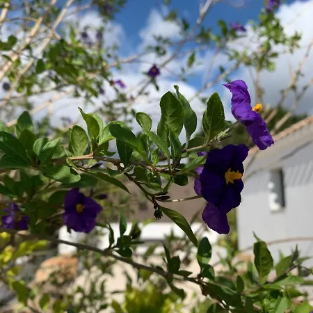 Bona Nit 住宿加早餐酒店 4*