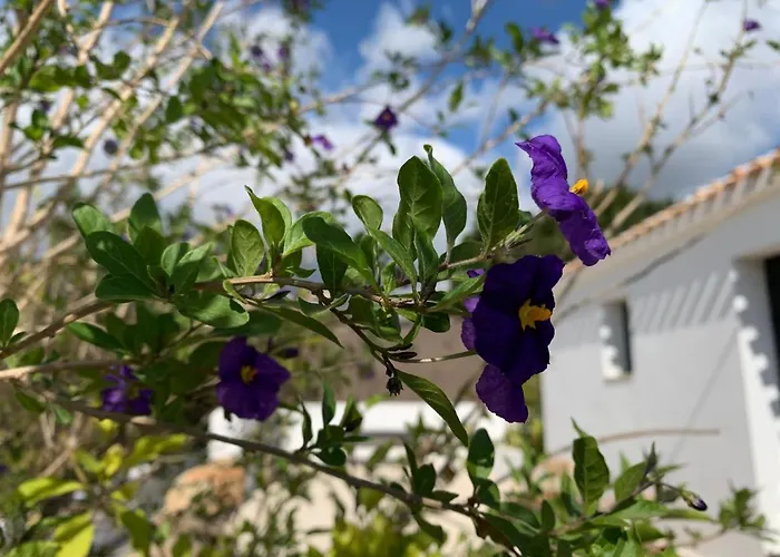 Bona Nit Bed & Breakfast 4*