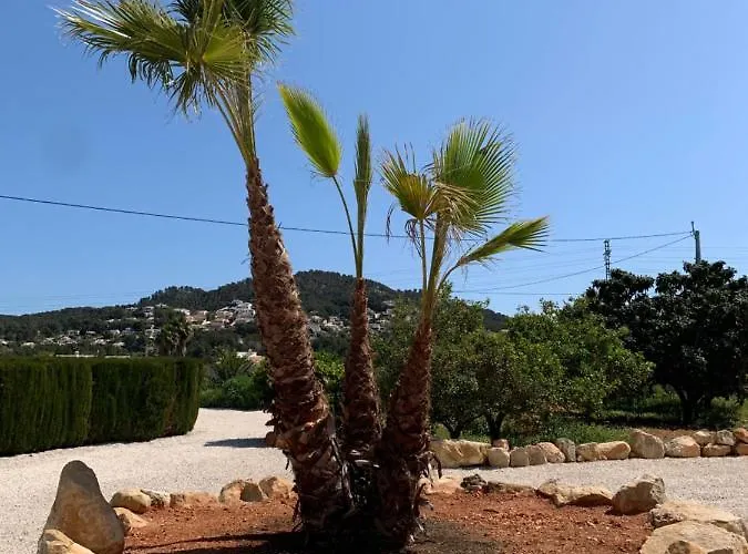 Bed & Breakfast Bona Nit Jávea